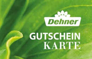 Dehner Geschenkgutschein