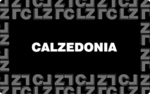 Calzedonia Gutschein